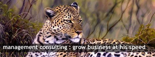 Management Consulting: Grow business at high speed